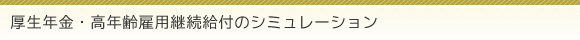 NENٗppt̃V~[V